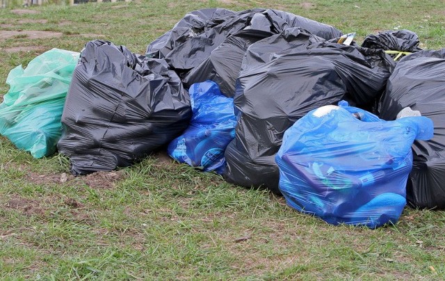 Śmieci w Długołęce - problem z segregacją (zdjęcie ilustracyjne)