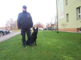 Pies policyjny Puma bierze udział w Wielkiej Orkiestry Kudłatej Pomocy