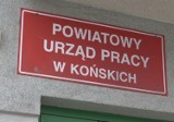 Jest naprawdę dobrze płatna praca w powiecie koneckim. Zobacz oferty pracy z najwyższymi zarobkami [TOP 20]