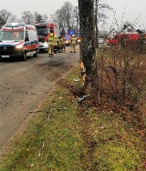 W Starym Jarosławiu auto uderzyło w przydrożne drzewo ZDJĘCIA. Kierująca ranna