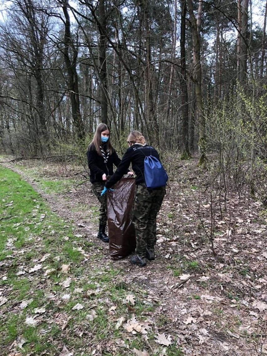 Harcerze z Radomska sprzątali las w ramach akcji "Czuwam! dla Ziemi"