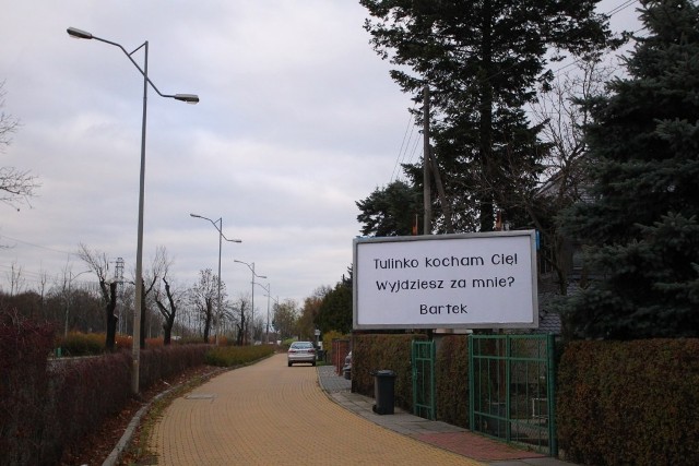 Aleja Polska: Oświadczył się na billboardzie!