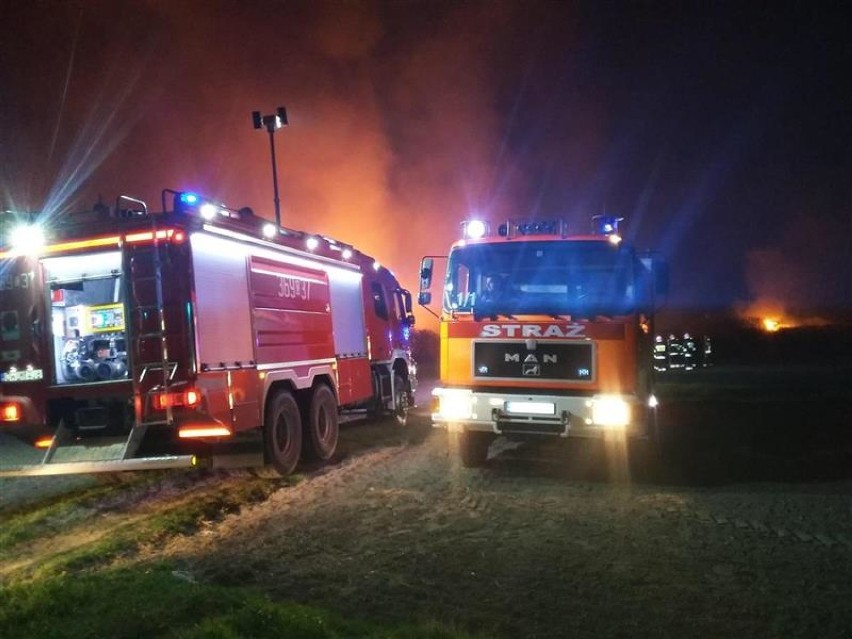 Pożar w powiecie radziejowskim. 9 zastępów straży pożarnej w akcji [zdjęcia]