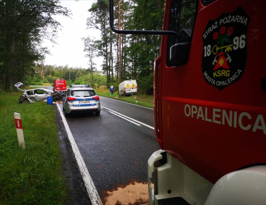 Trzy osoby ranne po zderzeniu busa i osobówki na dw 307 w gminie Opalenica [ZDJĘCIA]