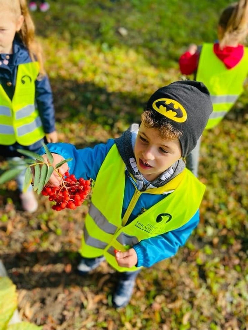 Przedszkolaki z grupy zerowej szkoły numer 5 w Jędrzejowie...