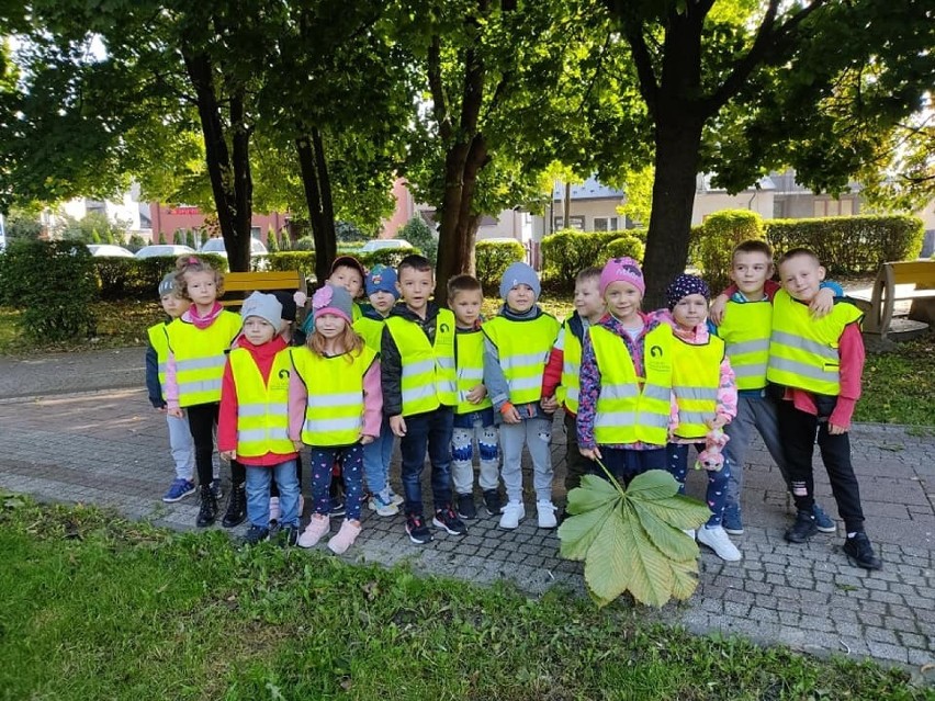 Przedszkolaki z grupy zerowej szkoły numer 5 w Jędrzejowie...