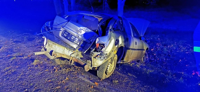 Wypadek Dziekanowice. Opel uderzył w drzewo, jedna osoba poszkodowana