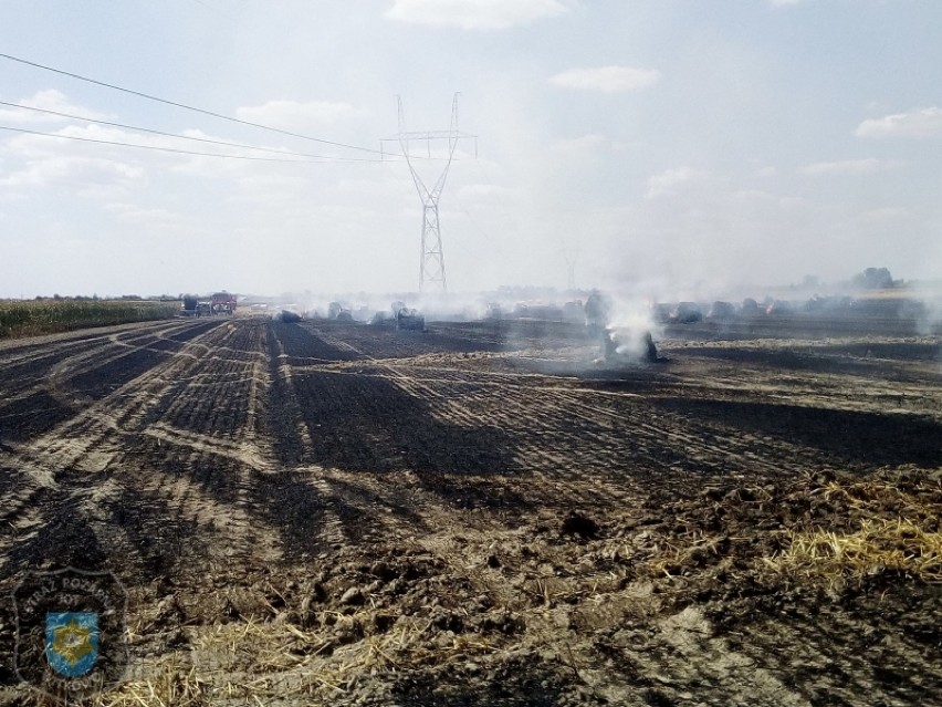 Pożar na polu:  płonęło ściernisko i 85 balotów słomy