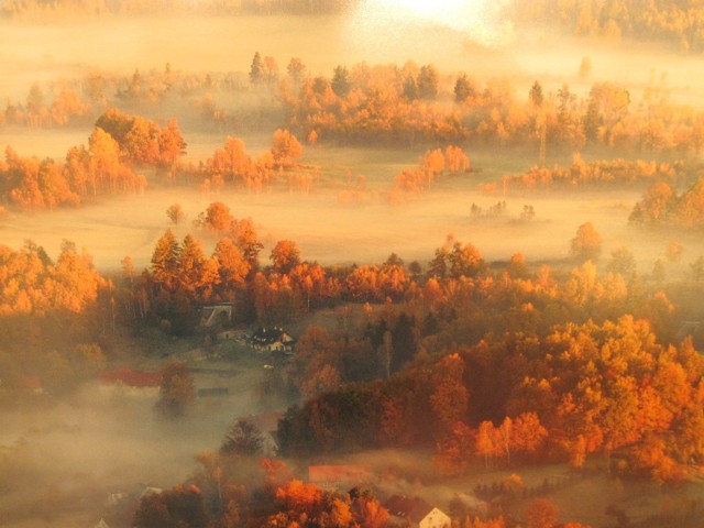 Botanik. Wystawa niezwykłych fotografii roślin i ogrodów