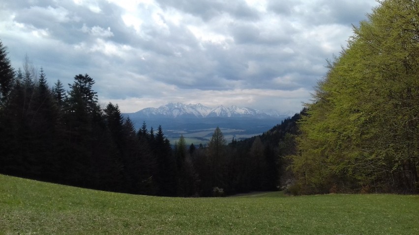 Przełęcz Szopka. W lewo - na Trzy Korony