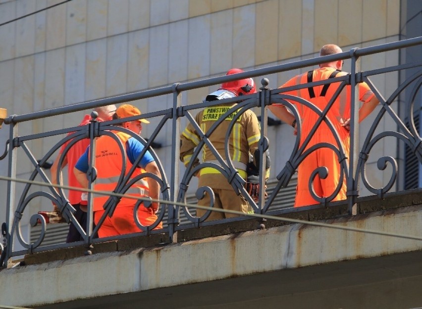 Pożar na wiadukcie kolejowym w centrum Wrocławia. Wstrzymano ruch pociągów przy Dworcu Głównym [ZDJĘCIA]