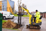 Łowicka Spółdzielnia Mieszkaniowa zmodernizowała oświetlenie ZDJĘCIA