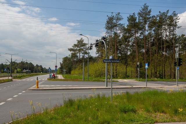 Po uzgodnieniach z władzami Bydgoszczy liczba wyciętych drzew pod parking P&R przy Korfantego w bydgoskim Fordonie ma być mniejsza.