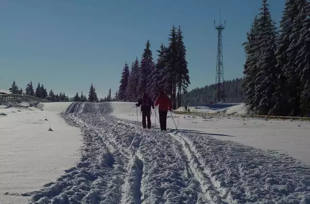 Polana Jakuszycka. Największy ośrodek narciarstwa biegowego, znany dzięki Biegowi Piastów i startom Justyny Kowalczyk w pucharze świata