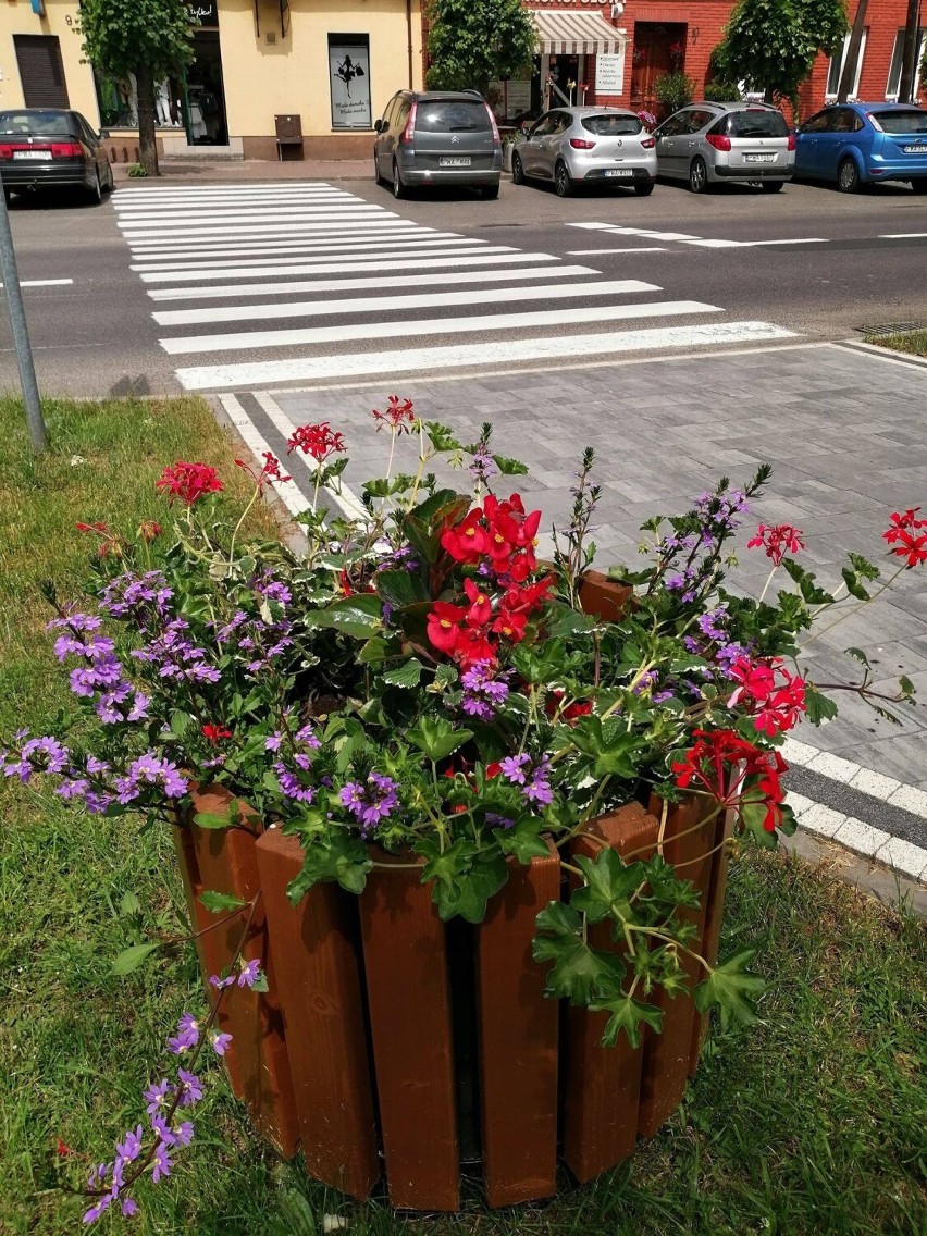 Posadzono kwiaty na ulicach Gołańczy. Miasto zrobiło się kolorowe 