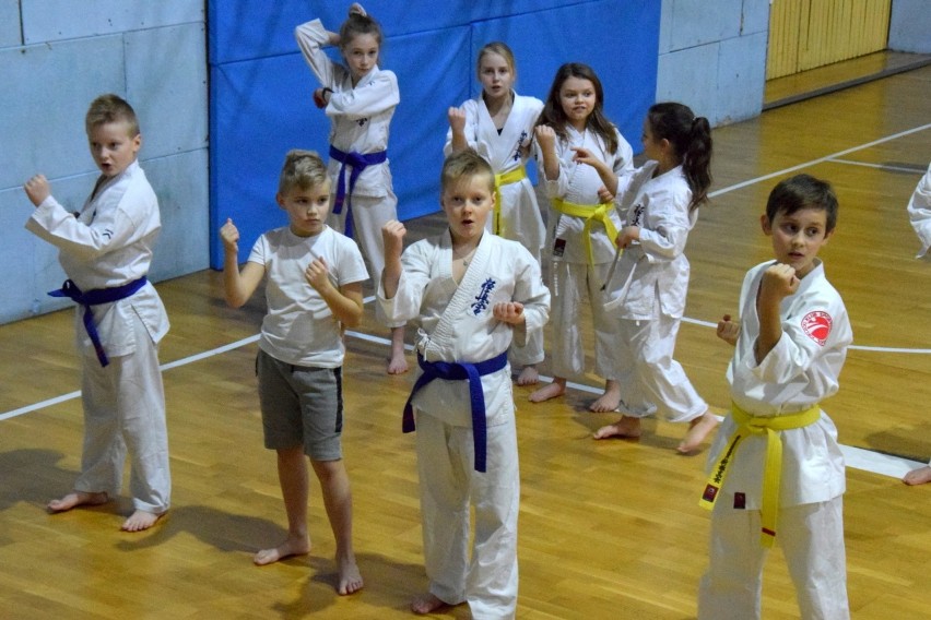 Zimowa Akademia Karate w Kielcach z atrakcjami. Tak trenują dzieci, młodzież i dorośli. Zajęcia za darmo we wtorek i środę [ZDJECIA, WIDEO]