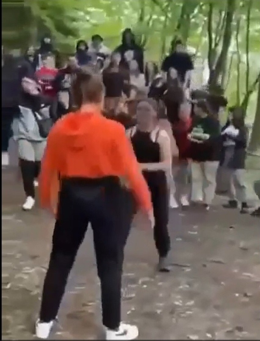 Brutalna walka nastolatek w miejskim parku. Sprawę bada...