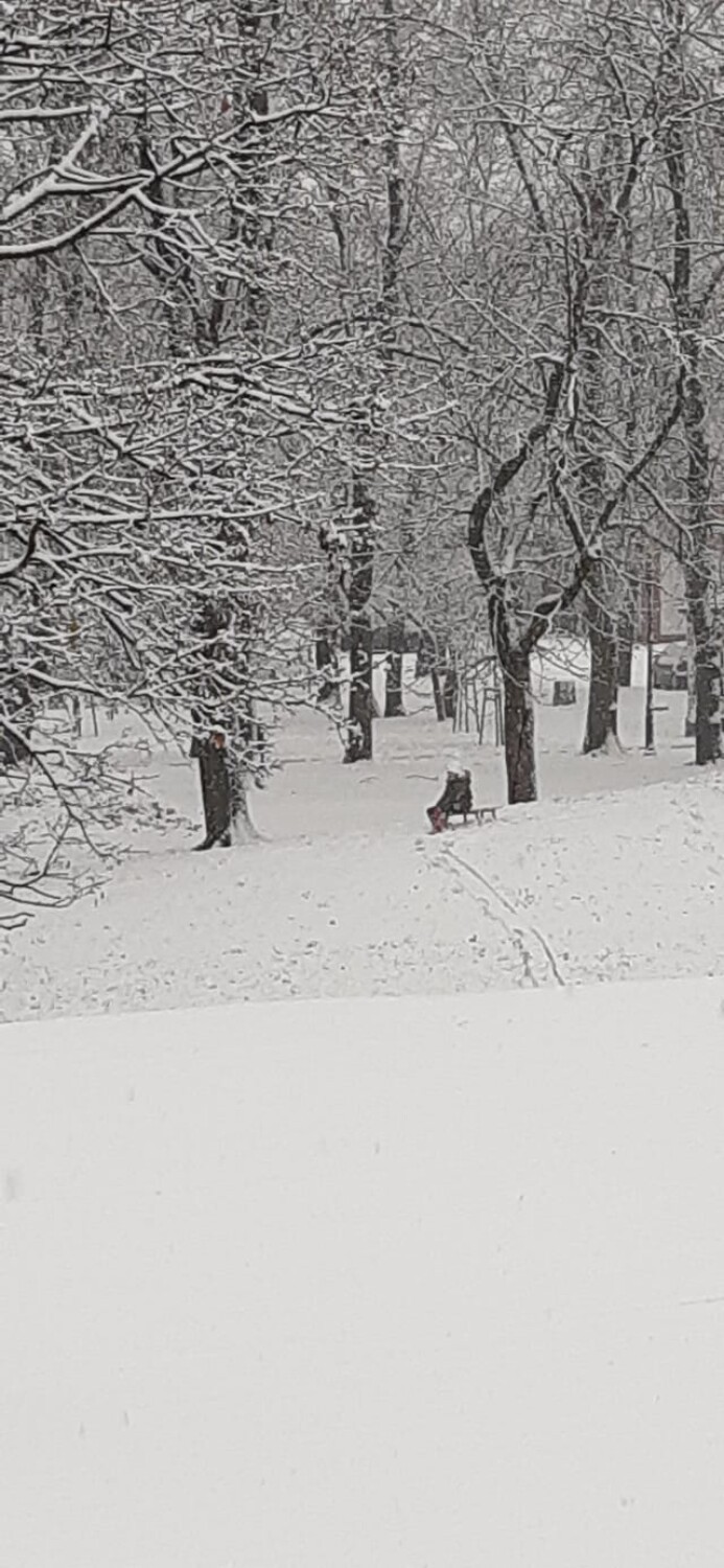 Sypnęło śniegiem w Wolsztynie i okolicach. Zobacz niesamowite zdjęcia Czytelników