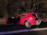 Wypadek w Wadlewie (gmina Drużbice). Audi uderzyło w betonowy słup