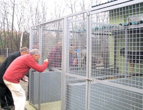 Nowe schronisko dla zwierząt na Kabatach otwarto pod koniec zeszłego roku, a już są do niego zastrzeżenia