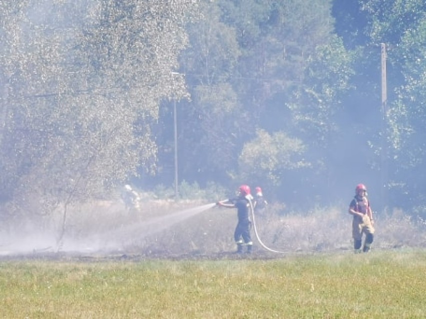 Dwa pożary pod Międzychodem - w niedzielę strażacy walczyli...