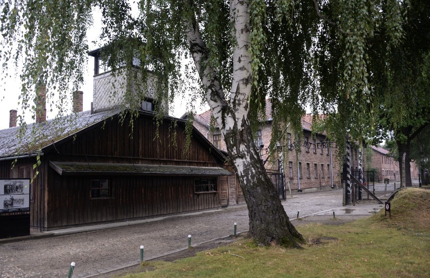 Oświęcim. Muzeum Auschwitz-Birkenau dostępne dla zwiedzających od 1 lutego 2021. Otwiera się także Muzeum Zamek [ZDJĘCIA]