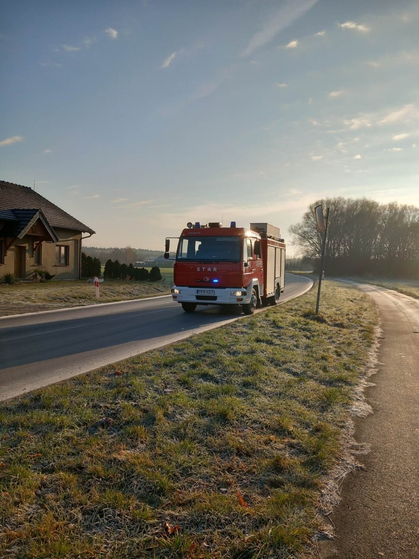 Samochód wypadł z drogi. Jedna osoba trafiła do szpitala [ZDJĘCIA]