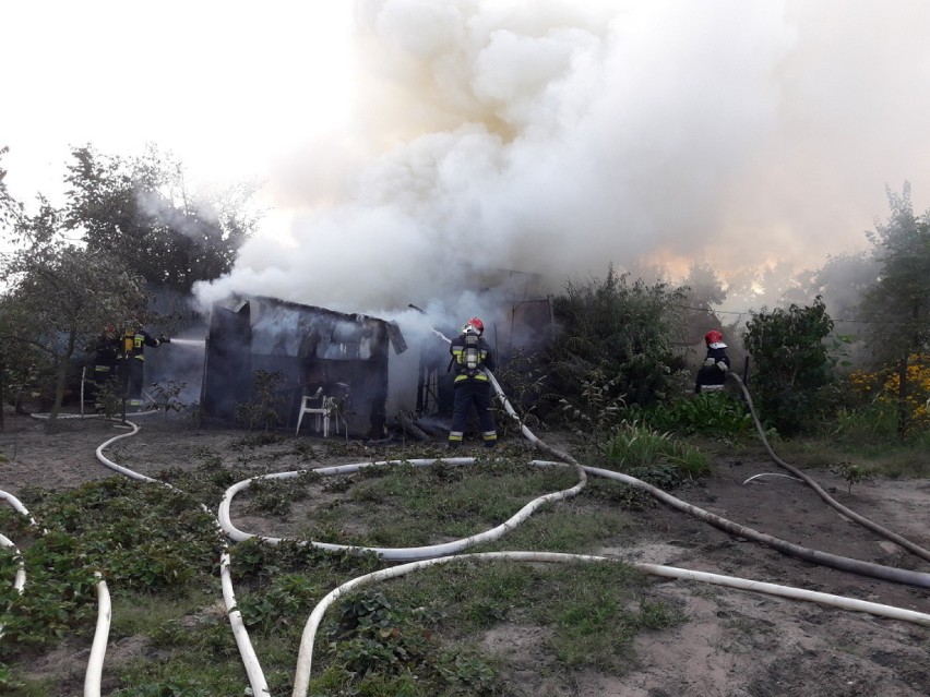 Pożar drewnianych budynków gospodarczych na ul. Jaśminowej w Skierniewicach [ZDJĘCIA]