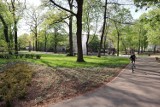 Park na Placu Kościuszki po kompleksowej rewitalizacji. Warto wybrać się tam na spacer 