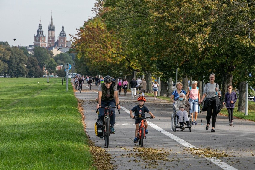 BŁONIA
- Historia Błoń to również burzliwa historia wypasu...