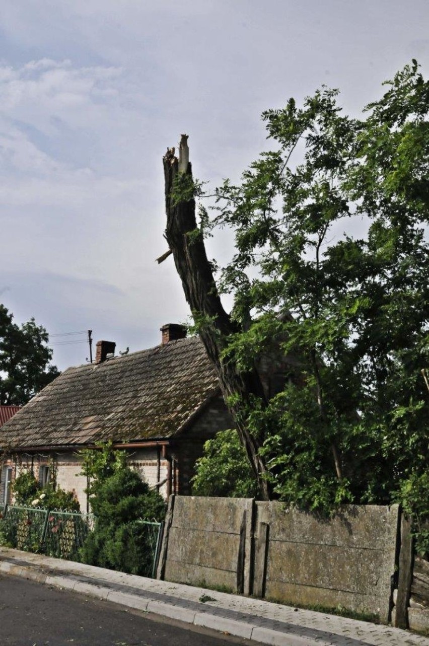 POWIAT KOŚCIAŃSKI. Cztery lata temu zmagaliśmy się ze skutkami wichury [ZDJĘCIA]