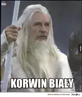 "Krul internetu", pogromca lewaków. Janusz Korwin - Mikke bryluje w sieci [MEMY] 