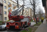 Mocno wieje w Tarnowie i regionie. Na ulicy Matejki odłamany konar drzewa omal nie wybił okna w bloku. W akcji byli strażacy!