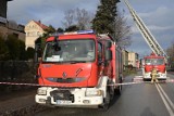 Wałbrzych: Utrudnienia na ulicy Wrocławskiej. Strażacy usuwają niebezpiecznie pochylone nad jednią drzewo (ZDJĘCIA)