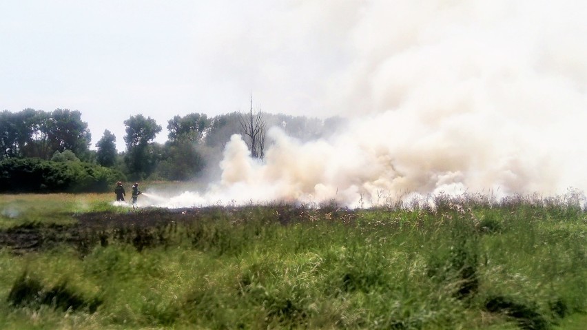 Pożar na Ostrowie Tumskim w Głogowie [FOTO, FILM]