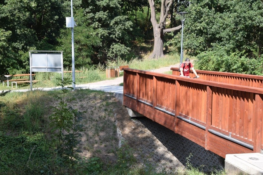 Dolina Gęśnika nie przypomina już dziś dawnego zarośniętego...