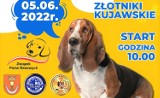 W Złotnikach Kujawskich odbędzie się międzynarodowa wystawa psów rasowych