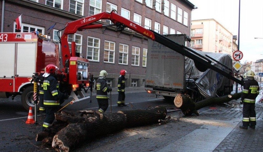 Opole: Na ulicy Reymonta TIR zahaczył odrzewo i wyrwał je [ZDJĘCIA]