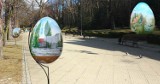 Spacery historyczne w Szczawnie i... wielkie jaja na deptaku