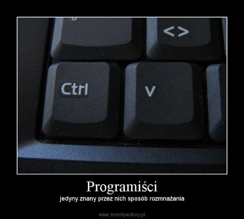 Dzień Programisty: jak świat widzi programistów, jak...