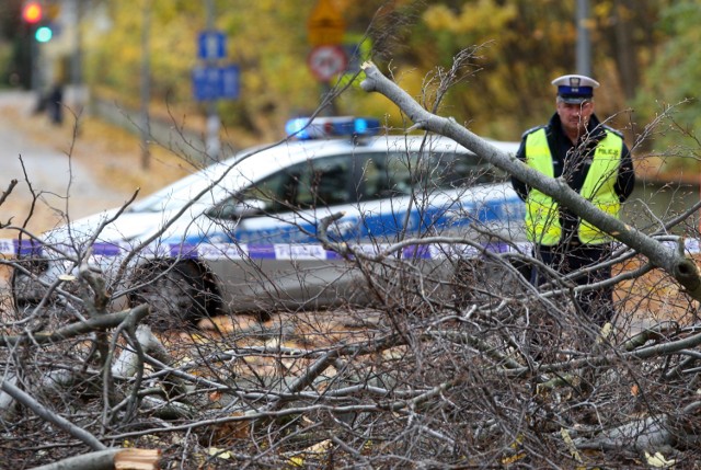 Pod powalonym drzewem w niedzielę zginęła kobieta. Okoliczności wypadku bada policja