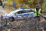 Śledztwo ws. śmiertelnego wypadku w Sopocie. Będzie pomoc dla rodziny kobiety przygniecionej drzewem