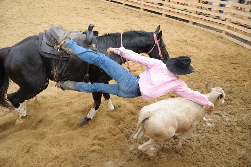 Żory western: Pokazy rodeo - Wild West Show. Zobacz zdjęcia!