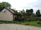 W Zadusznikach drzewo runęło na budynek przy szkole. Straty są duże