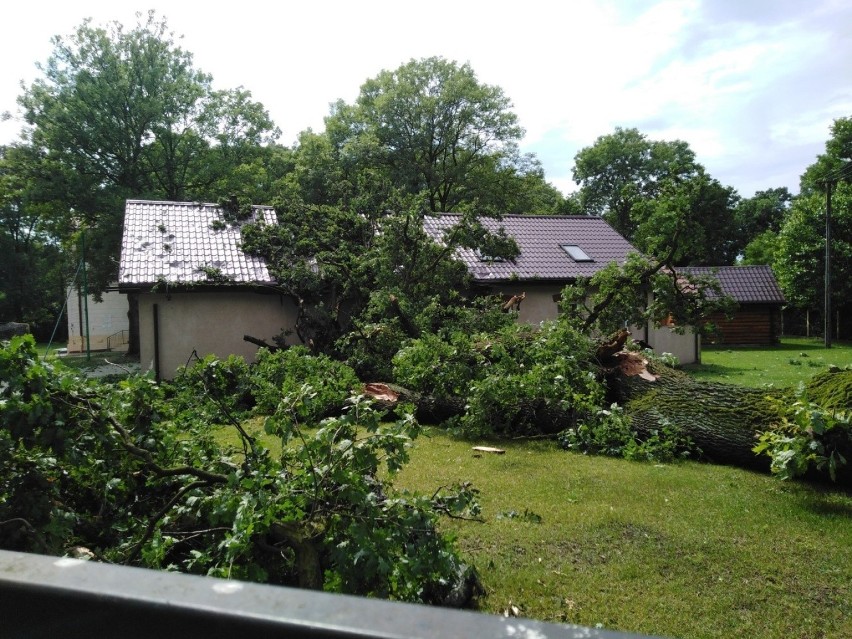 W Zadusznikach drzewo runęło na budynek przy szkole. Straty są duże