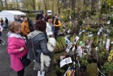 Wiosenne Targi Ogrodnicze w Opatówku już na koniec kwietnia. PROGRAM