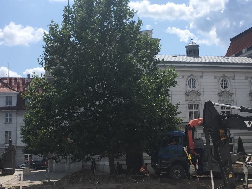 Tymczasem, podczas przebudowy placu Rapackiego i sąsiednich...