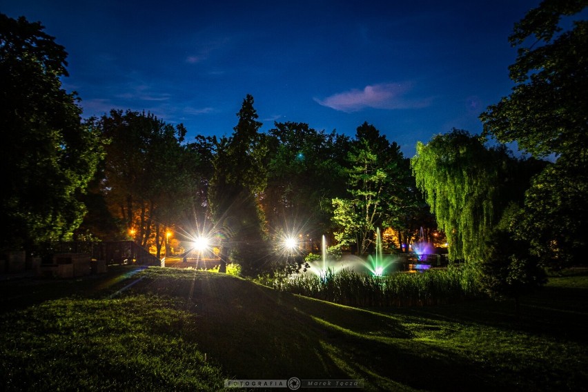Parki podjasnogórskie nocą. Zjawiskowe zdjęcia Marka Tęczy
