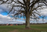 A może by tak do Jaśkowa? Miejsce na uboczu, dla koneserów mazurskich klimatów (ZDJĘCIA)