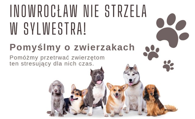 Apel prezydenta Piniewskiego podparty został specjalnym plakatem. Tak więc, pomyślmy o zwierzakach i pomóżmy im przetrwać trudny sylwestrowy czas wstrzymując się od używania petard i fajerwerków